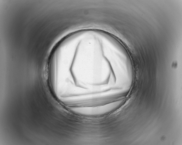 X0000101961510200808151303