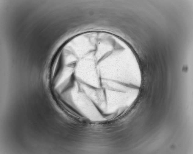 X0000101961511200808151303