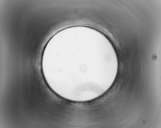 X0000101961512200808151303