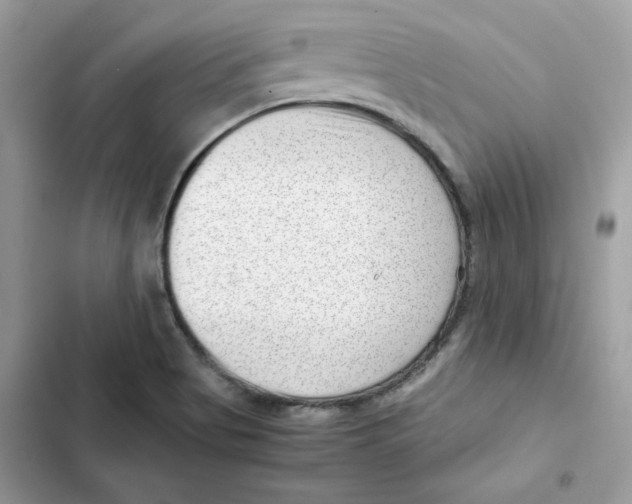 X0000101961513200808151303