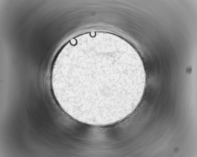 X0000101961514200808151303
