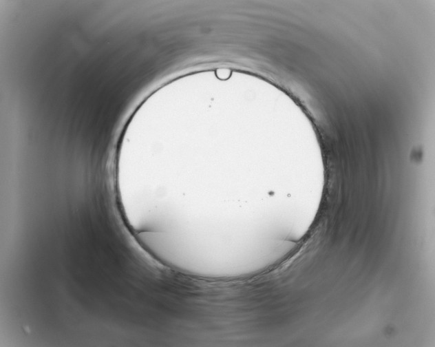 X0000101961516200808151303