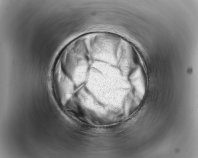 X0000101961517200808151303