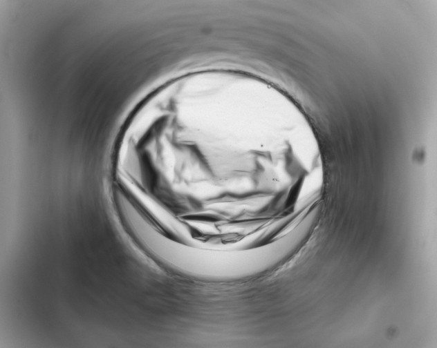 X0000101961518200808151303
