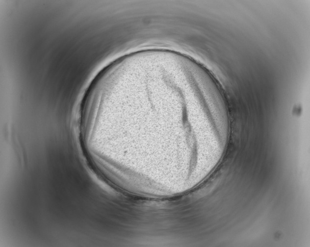 X0000101961519200808151303