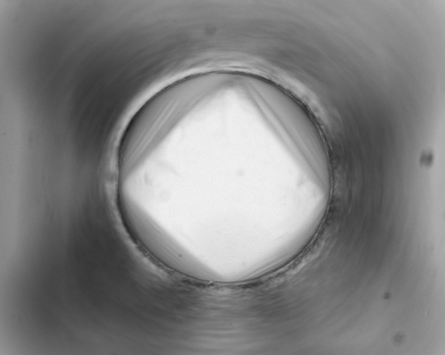 X0000101961520200808151303