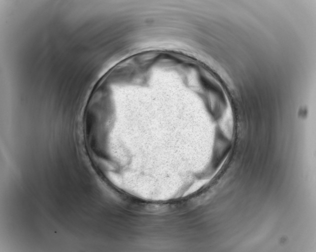 X0000101961521200808151303