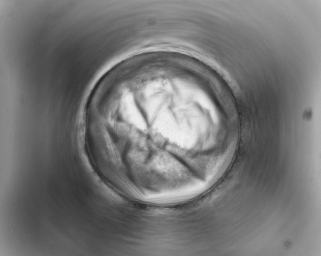X0000101961522200808151303