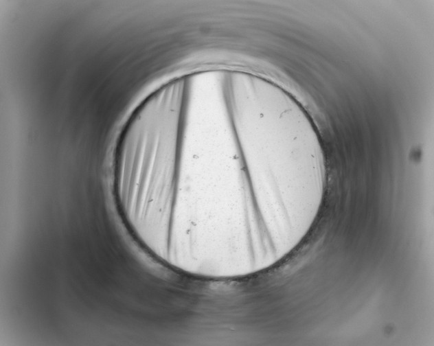 X0000101961523200808151303
