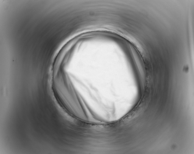 X0000101961524200808151303