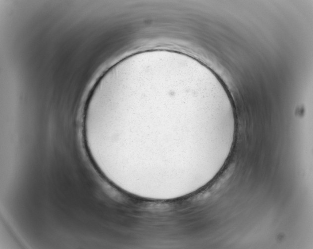 X0000101961525200808151303