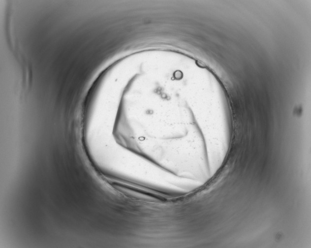 X0000101961526200808151303