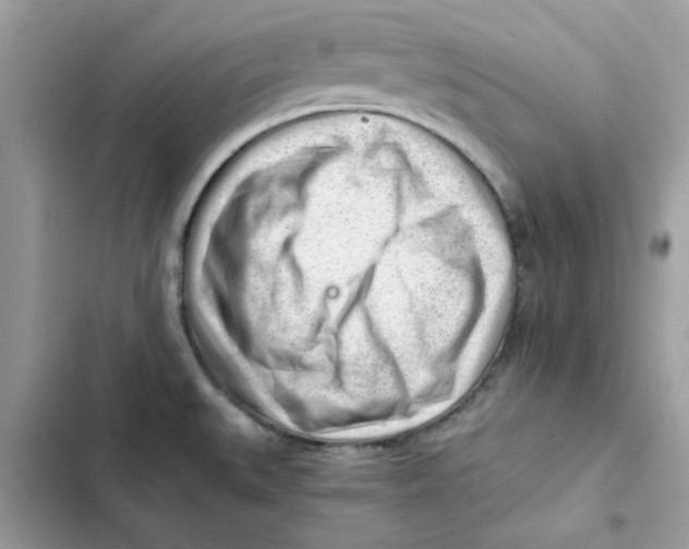 X0000101961527200808151303