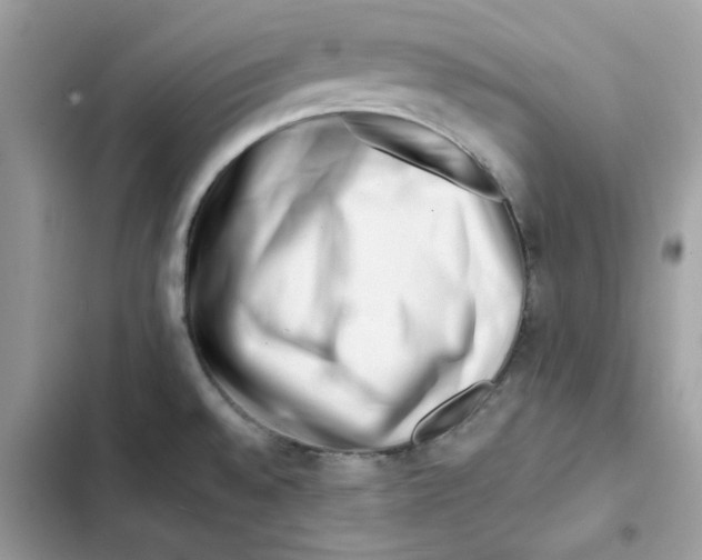X0000101961528200808151303