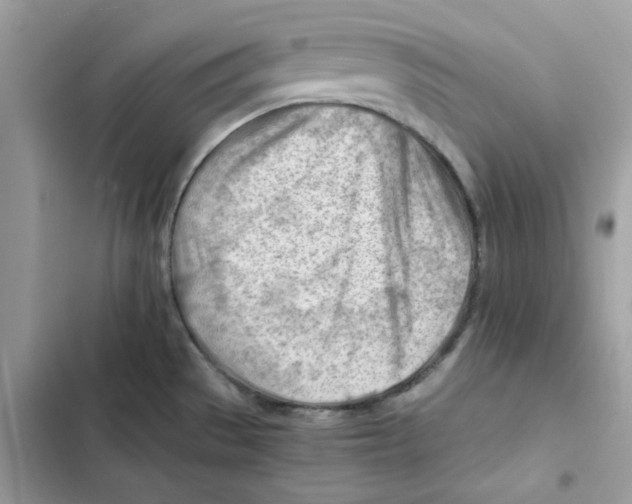 X0000101961529200808151304