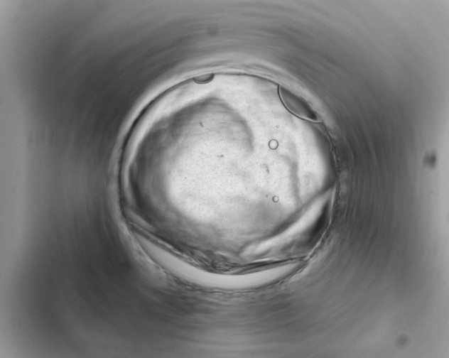X0000101961530200808151304