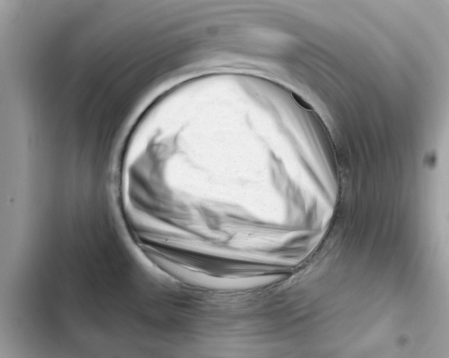 X0000101961531200808151304