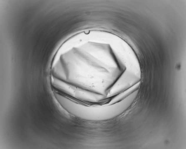 X0000101961532200808151304