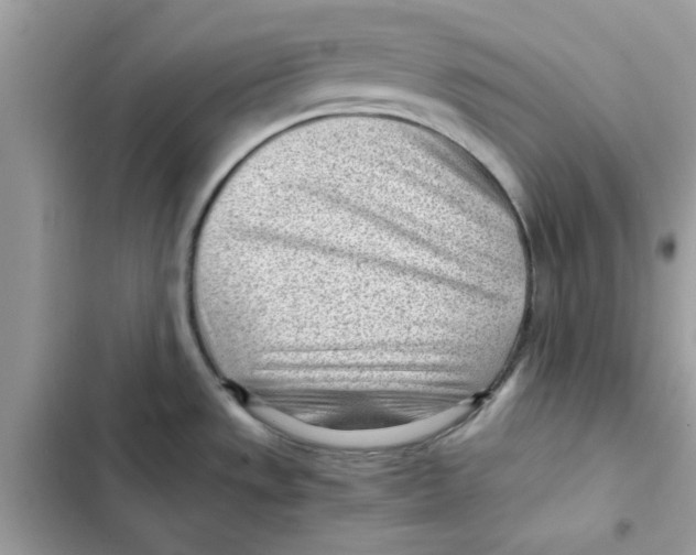 X0000101961533200808151304