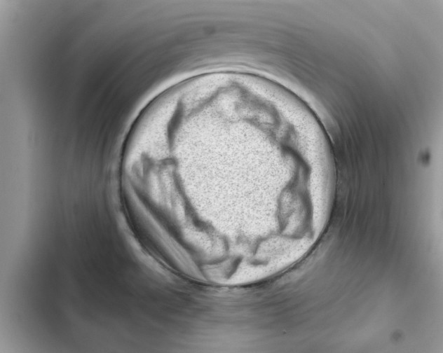 X0000101961534200808151304