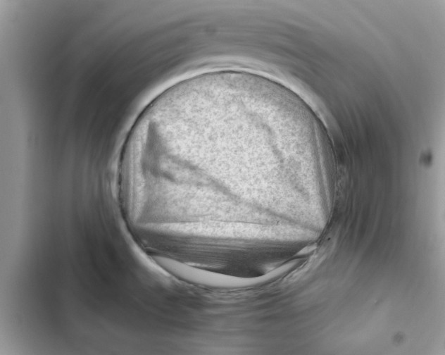 X0000101961535200808151304