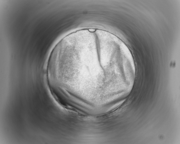 X0000101961536200808151304