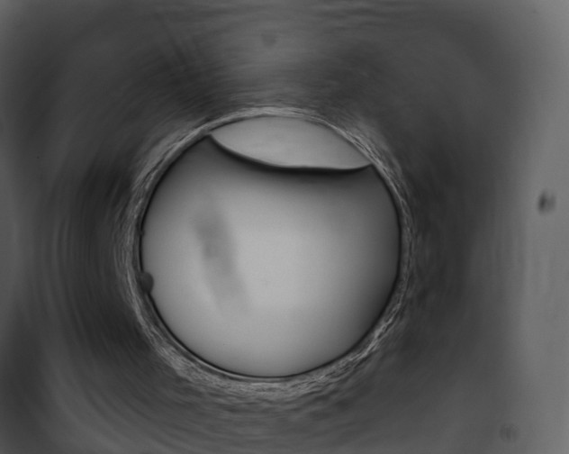 X0000101970001200807180737