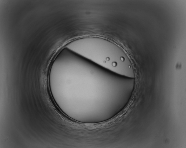 X0000101970002200807180737