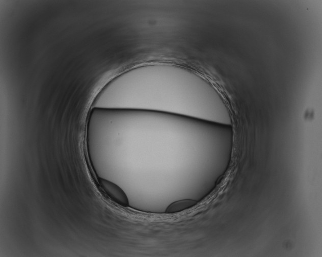 X0000101970003200807180737
