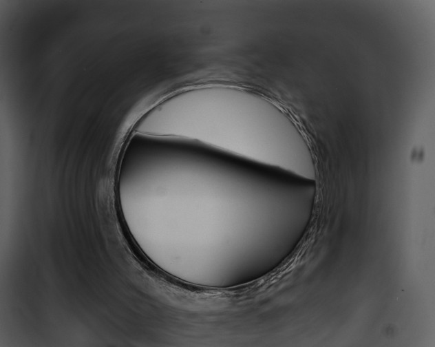X0000101970004200807180737