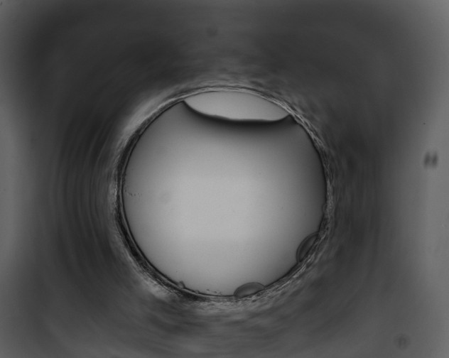X0000101970005200807180737