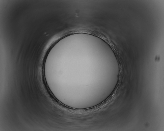 X0000101970006200807180737