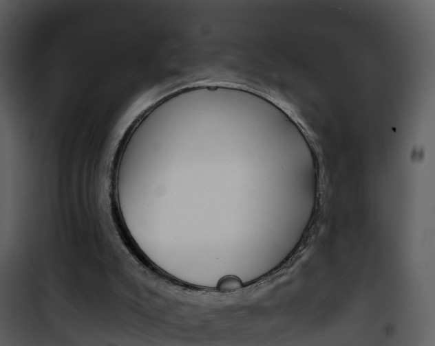 X0000101970007200807180737