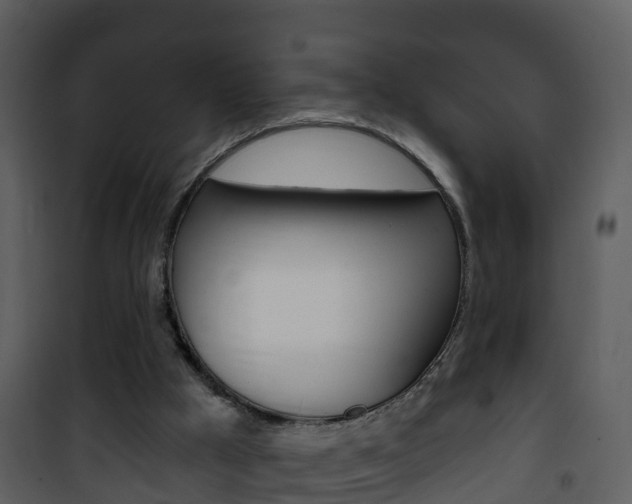 X0000101970009200807180737
