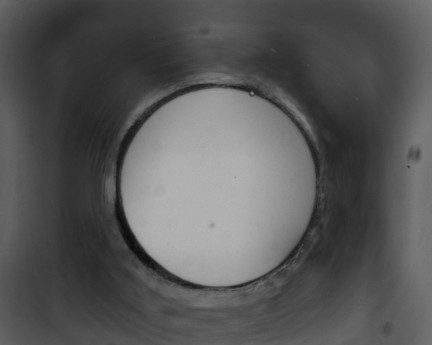 X0000101970011200807180737
