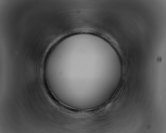 X0000101970012200807180737
