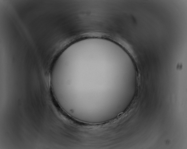 X0000101970013200807180737