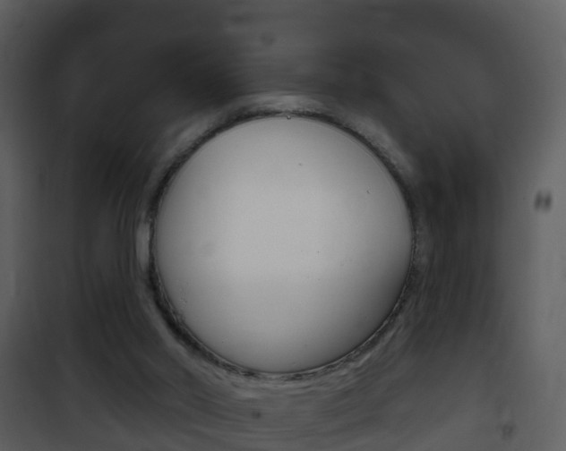 X0000101970014200807180737