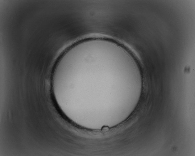 X0000101970015200807180737