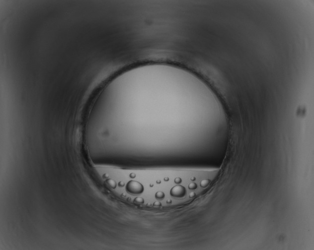 X0000101970016200807180737