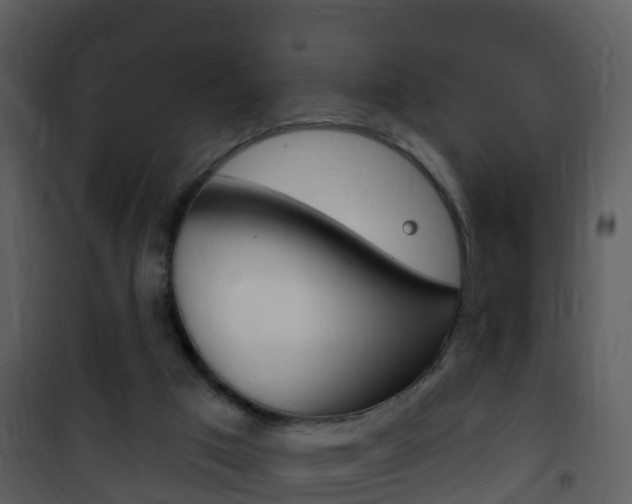 X0000101970017200807180737