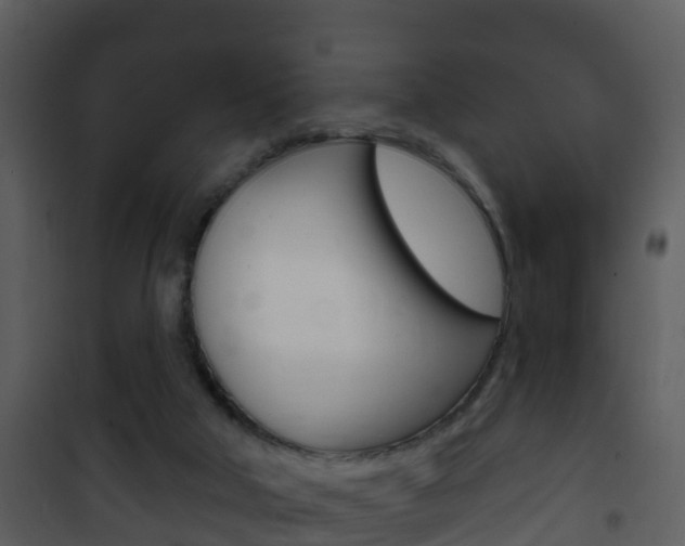 X0000101970018200807180737