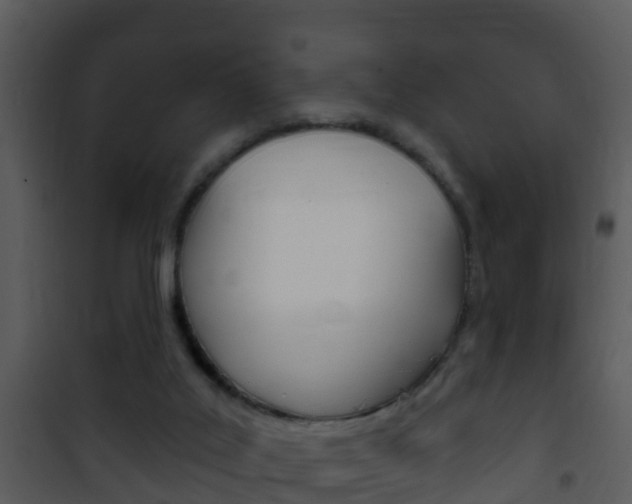 X0000101970019200807180737