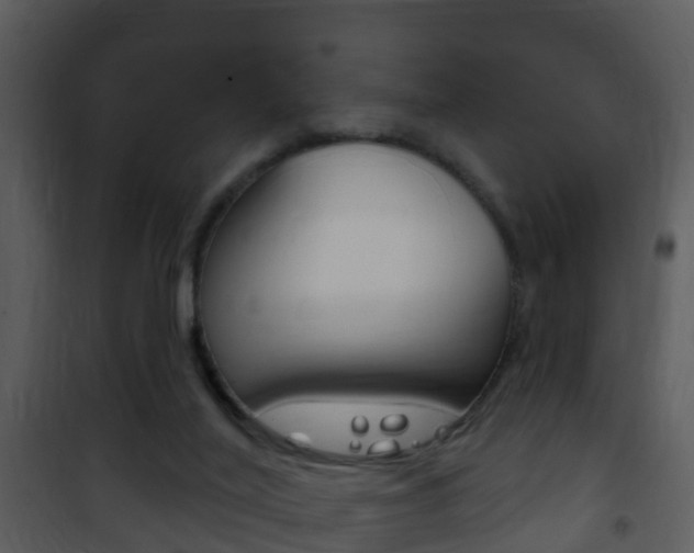 X0000101970020200807180737