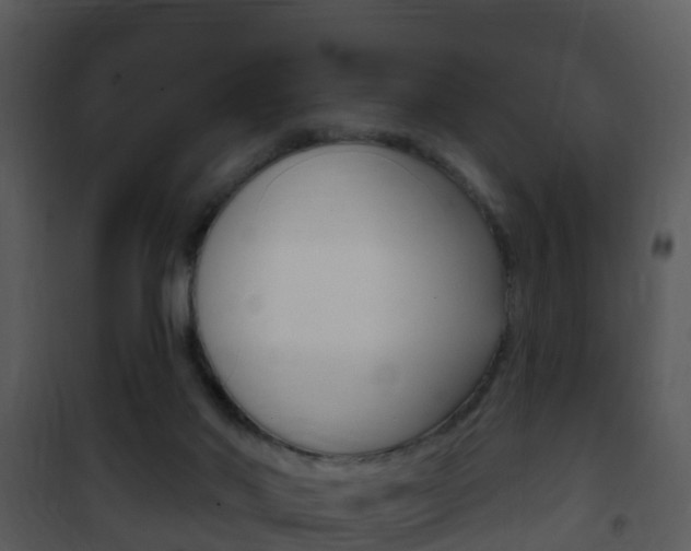 X0000101970022200807180737