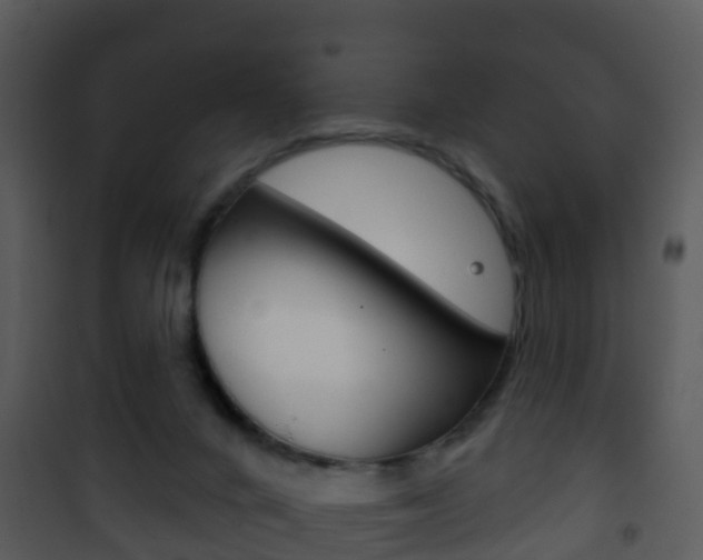 X0000101970024200807180737
