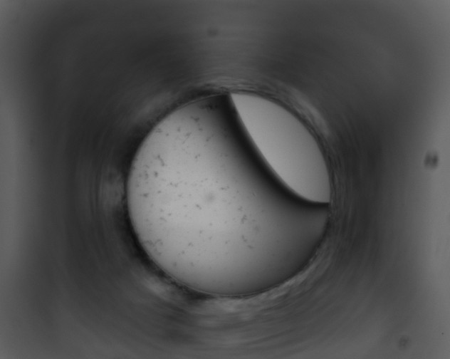 X0000101970025200807180737