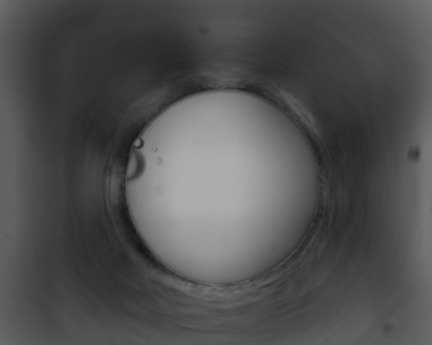 X0000101970026200807180736