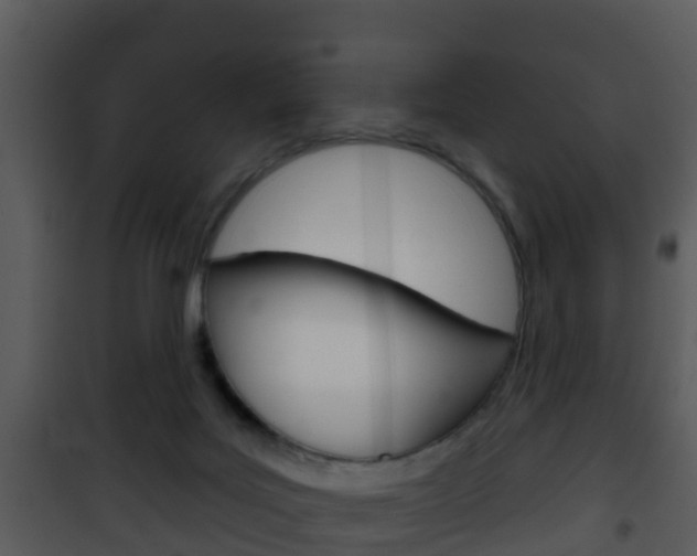 X0000101970027200807180736