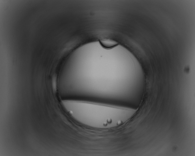X0000101970028200807180736